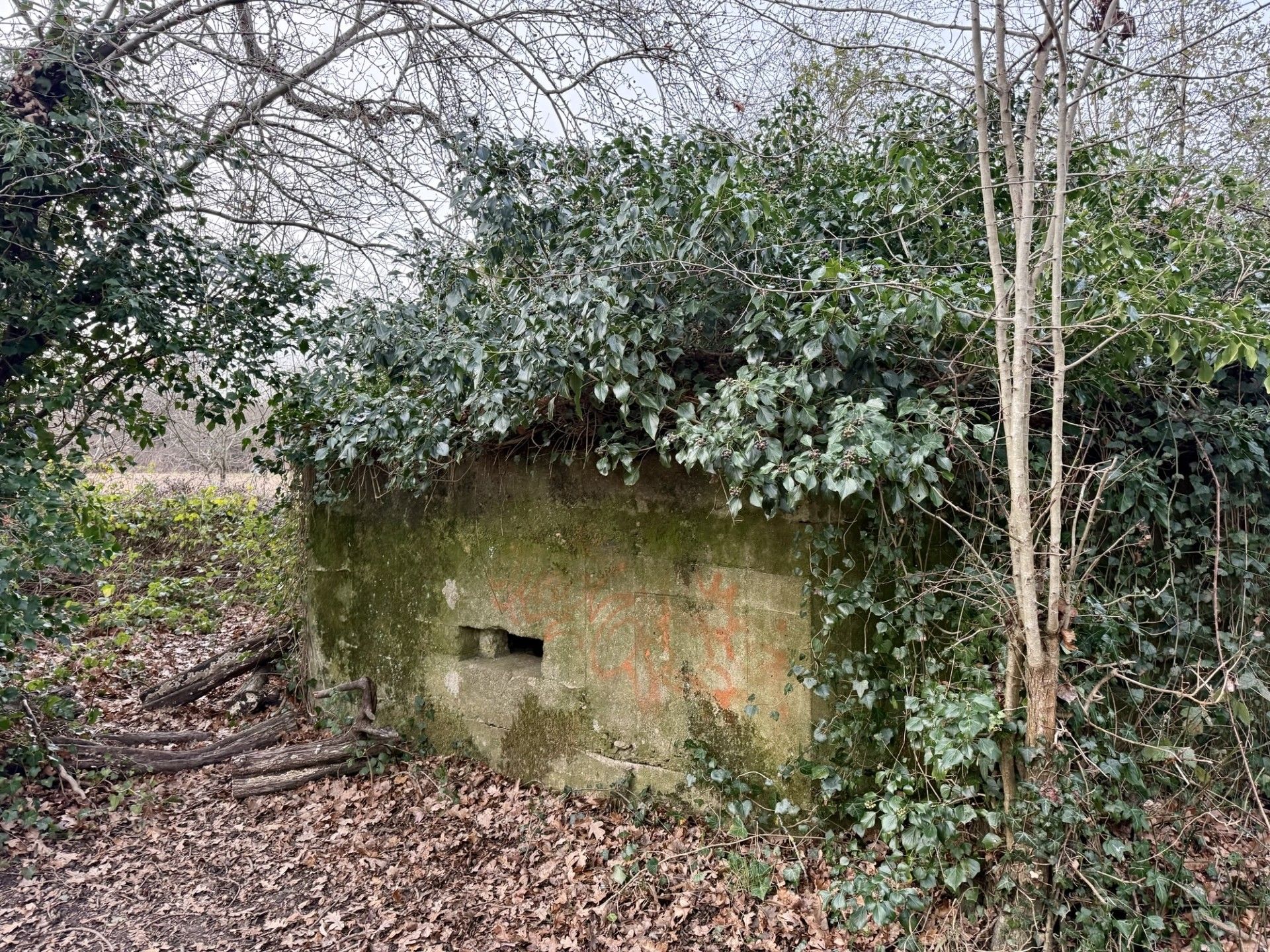 Pillbox 4